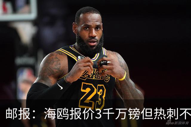 邮报：海鸥报价3千万镑但热刺不愿卖武什科维奇 巴萨国米拜仁关注